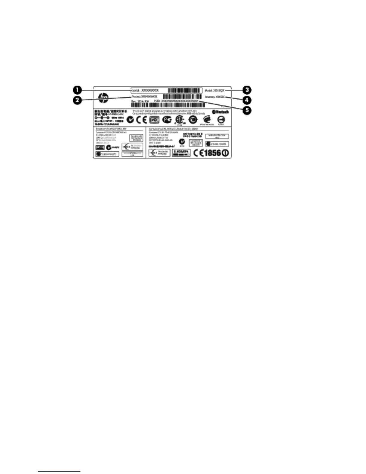 Page #20 background image
