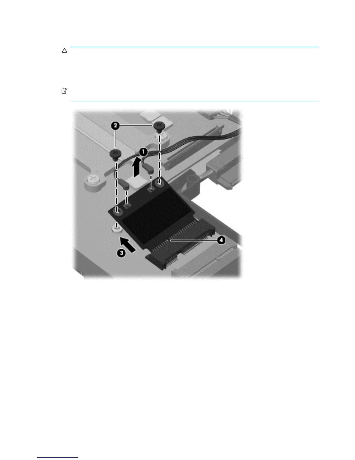 Page #64 background image
