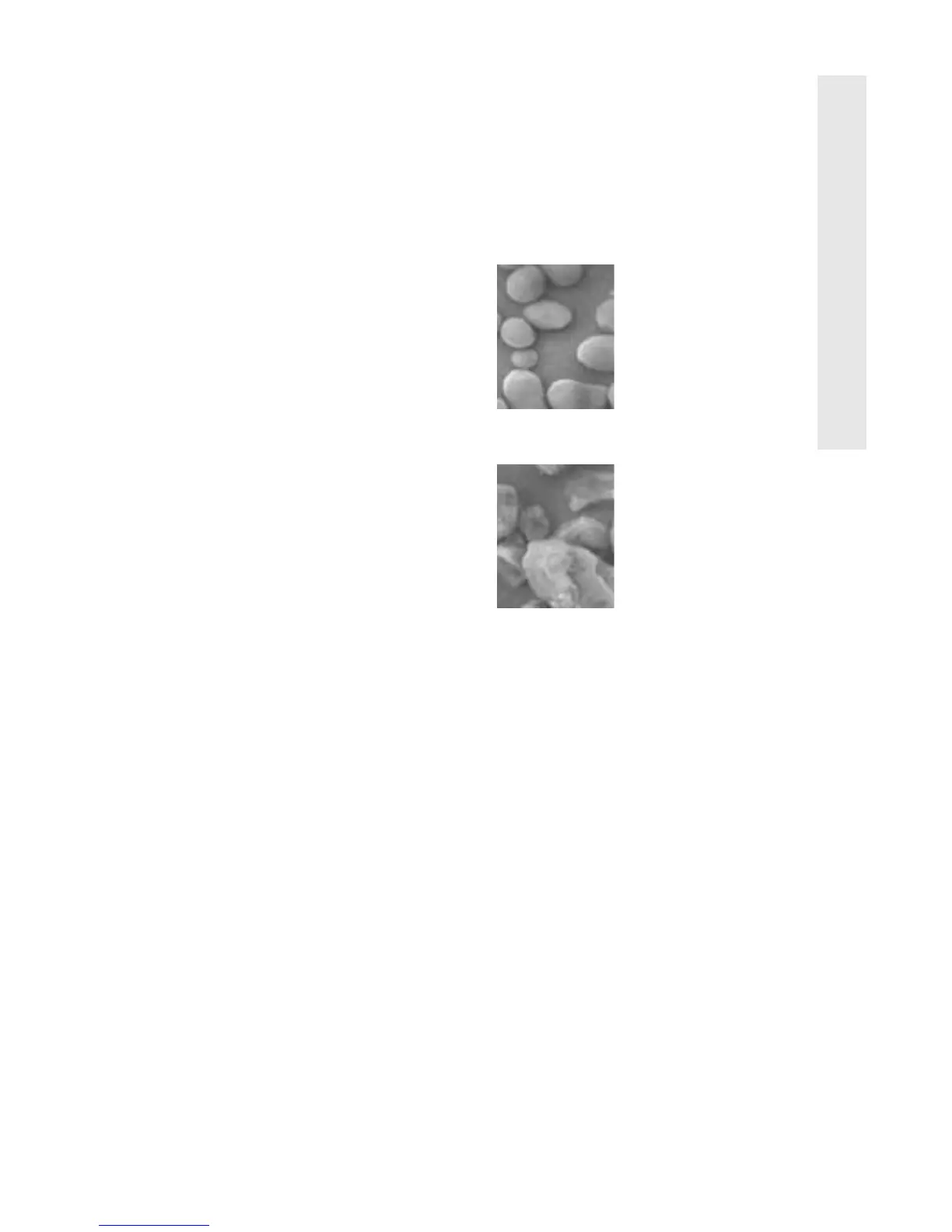 Page #131 background image