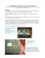 Preview: Replacement Manual