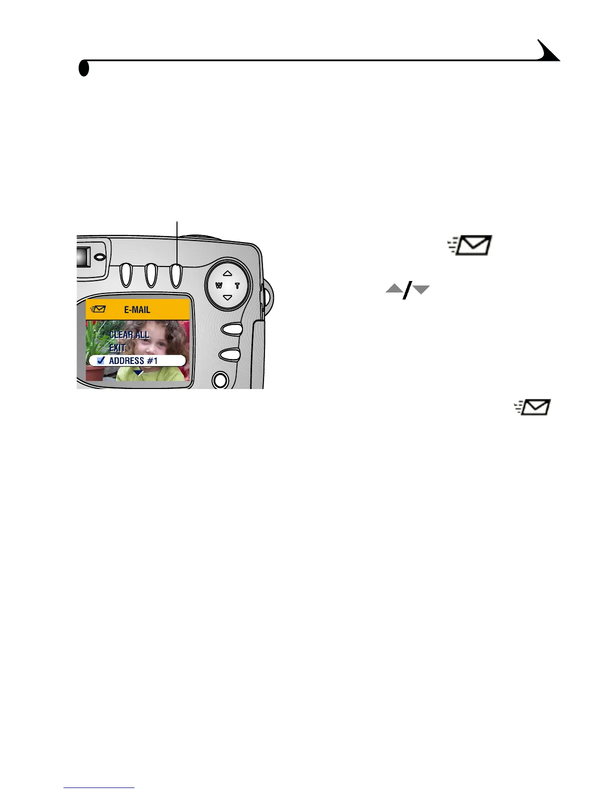 Page #43 background image