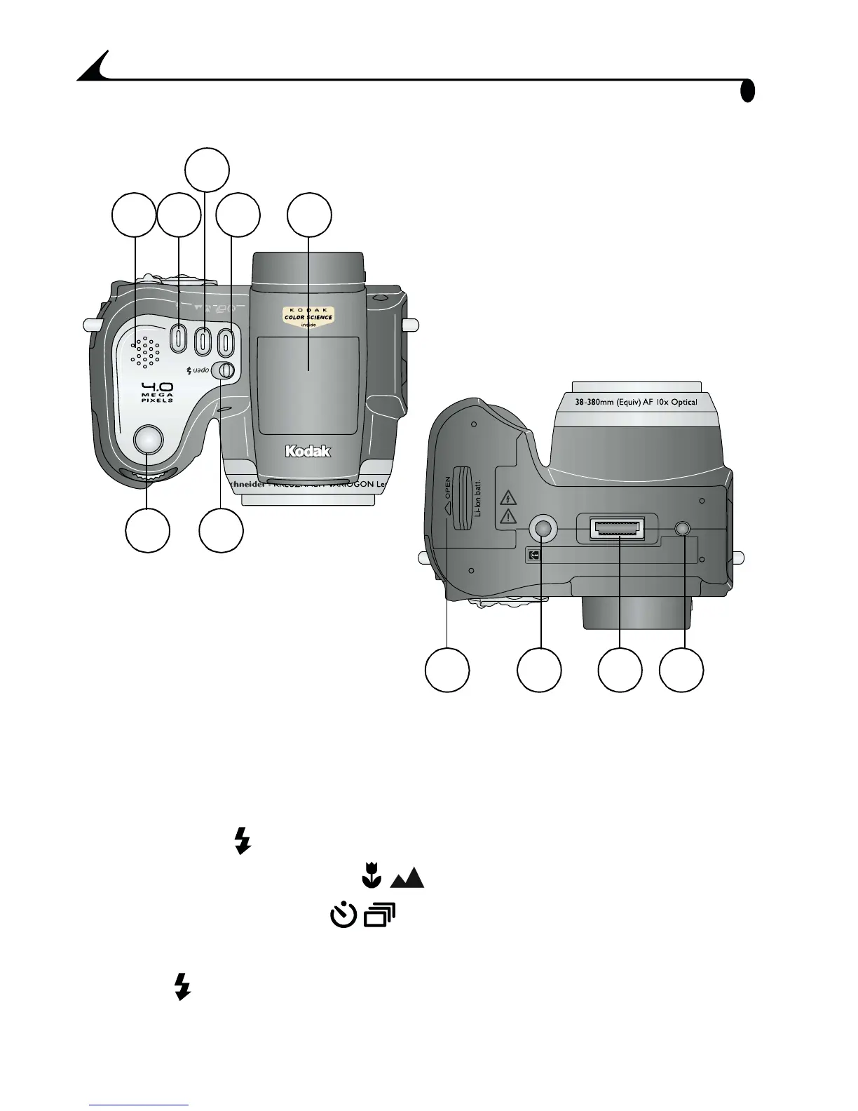 Page #6 background image