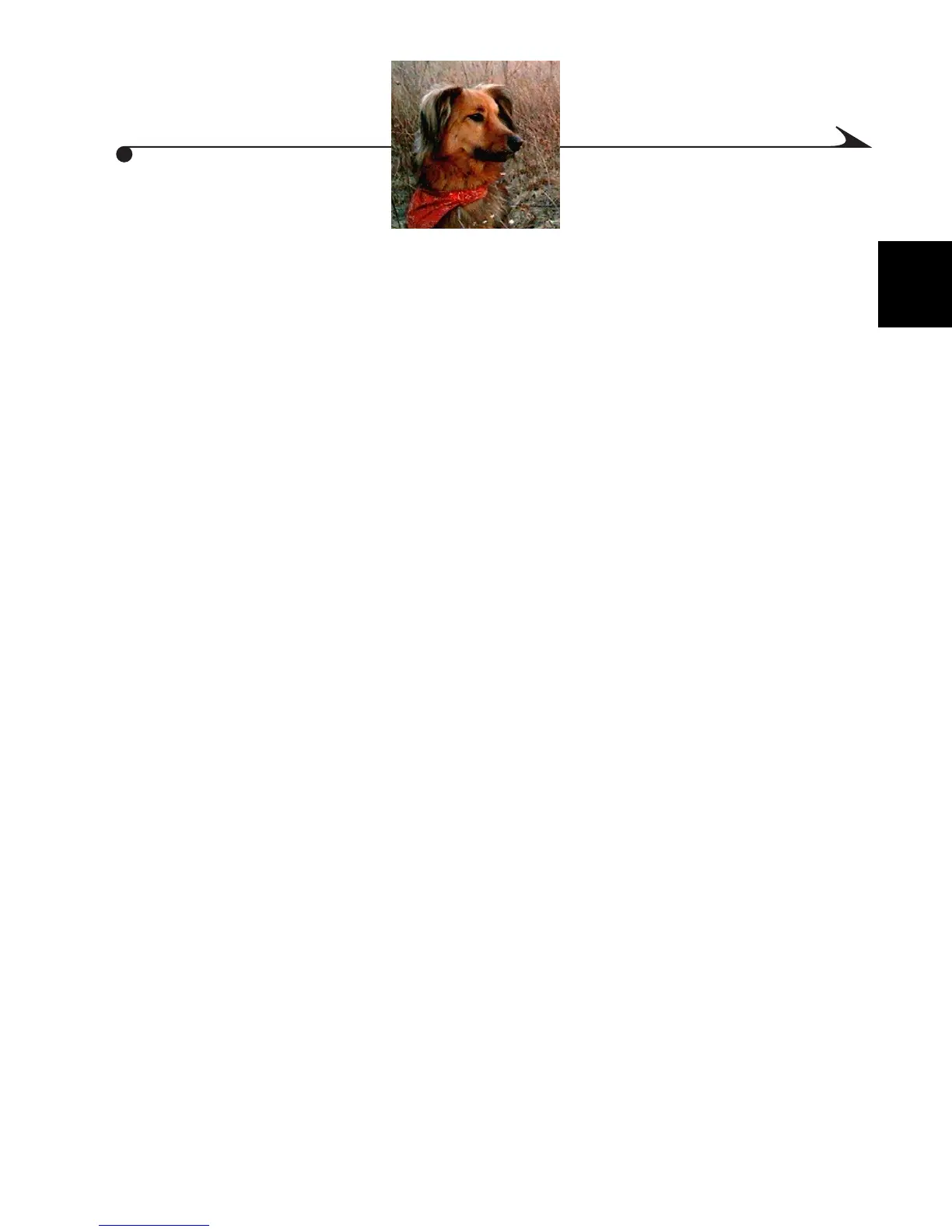 Page #73 background image