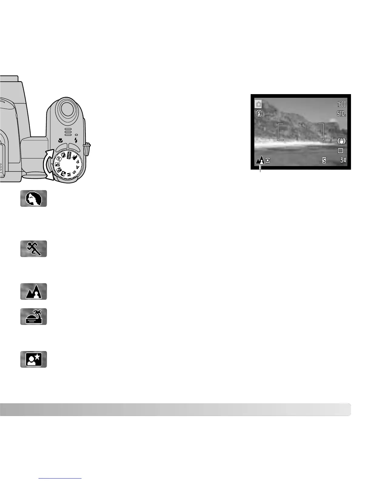Page #29 background image