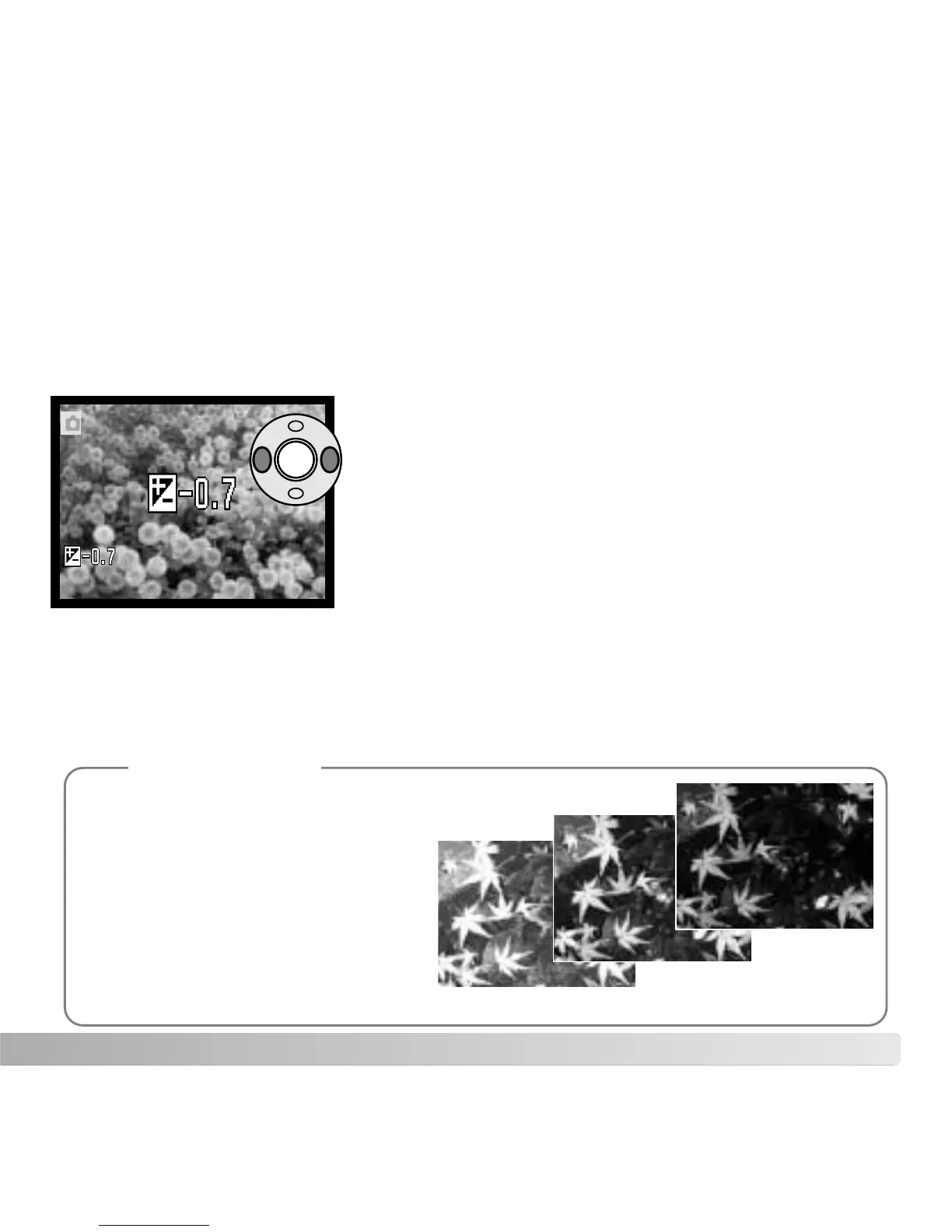 Page #41 background image