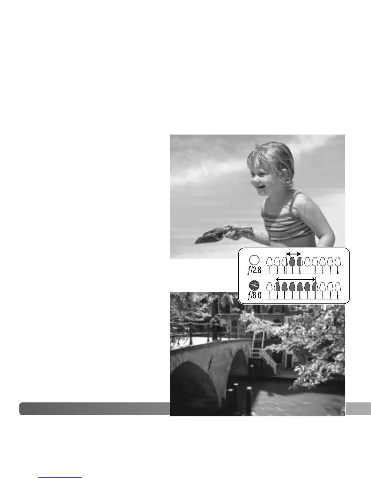 Page #68 background image
