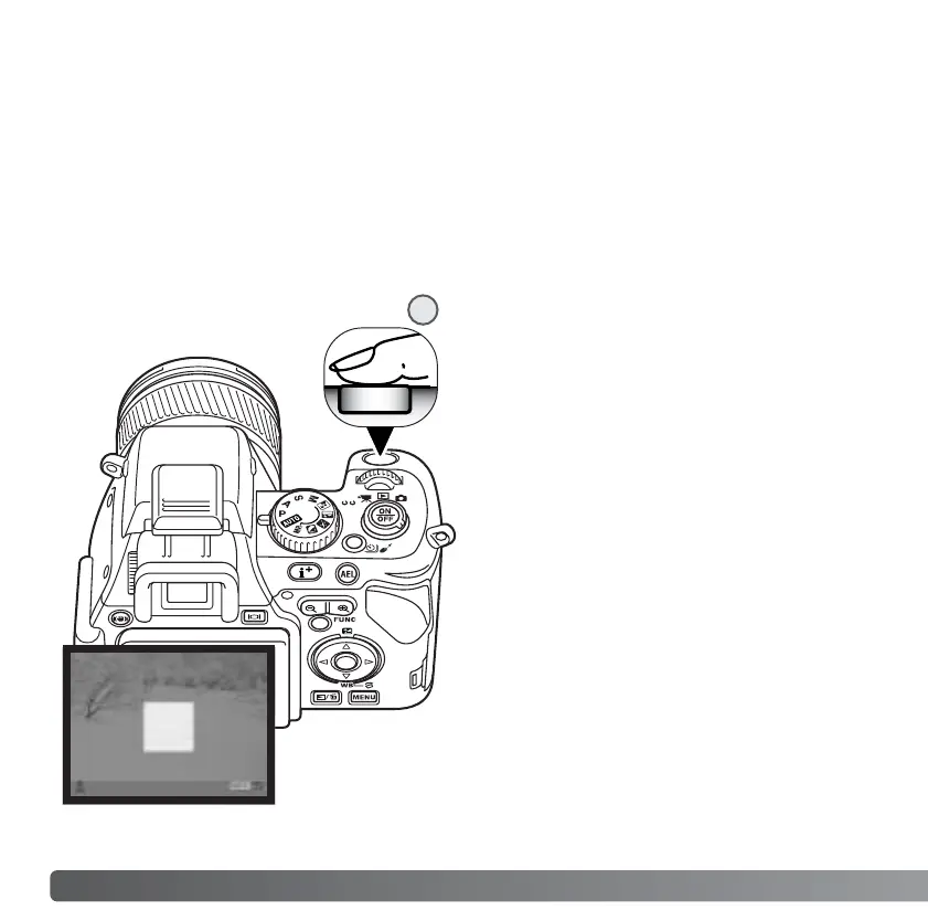 Page #62 background image