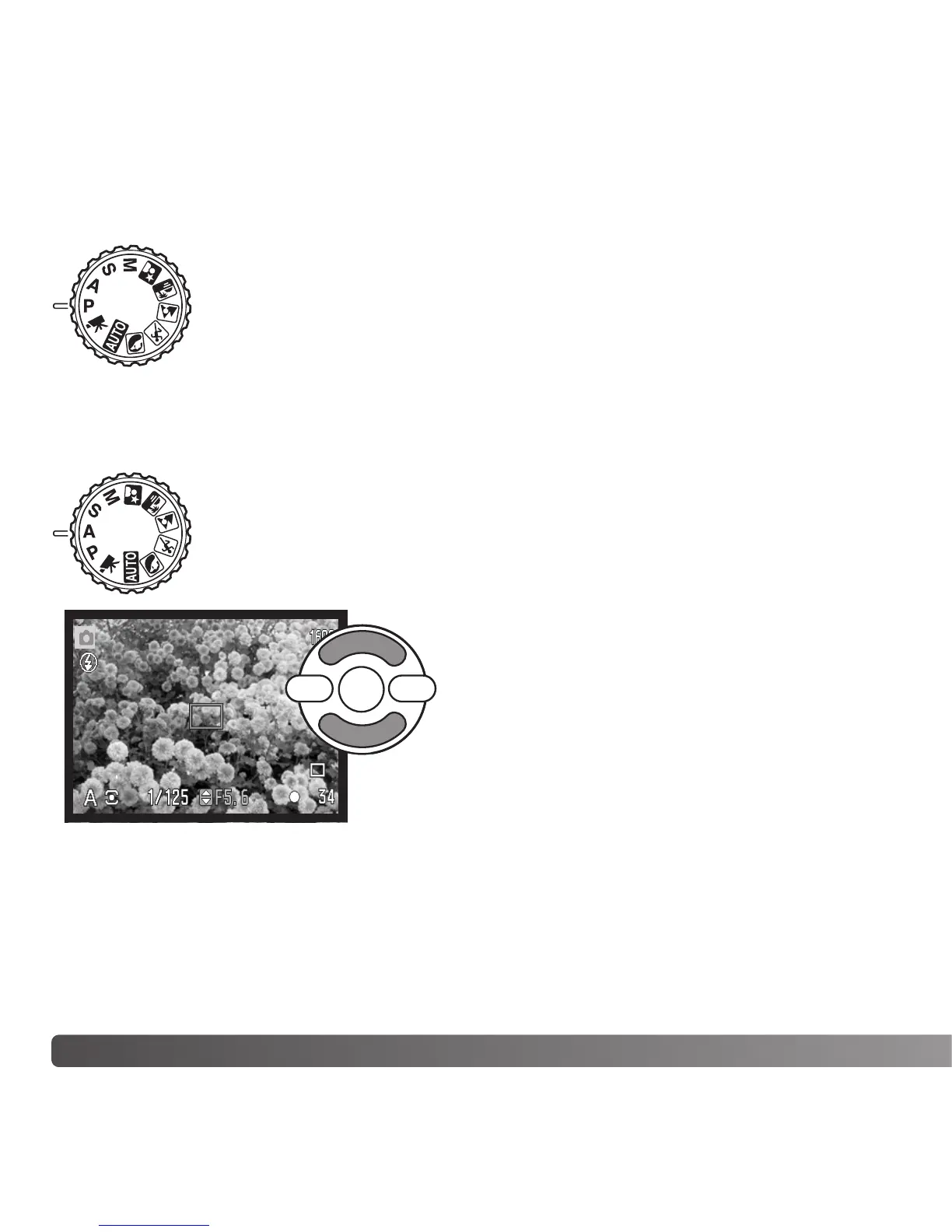 Page #36 background image