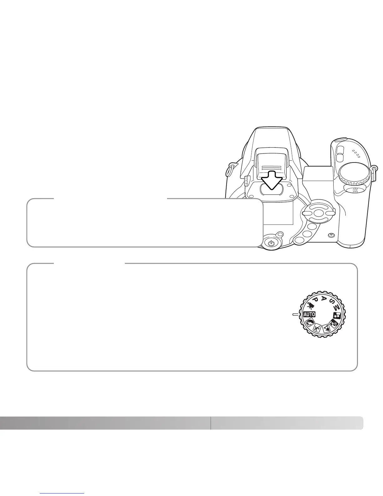 Page #43 background image
