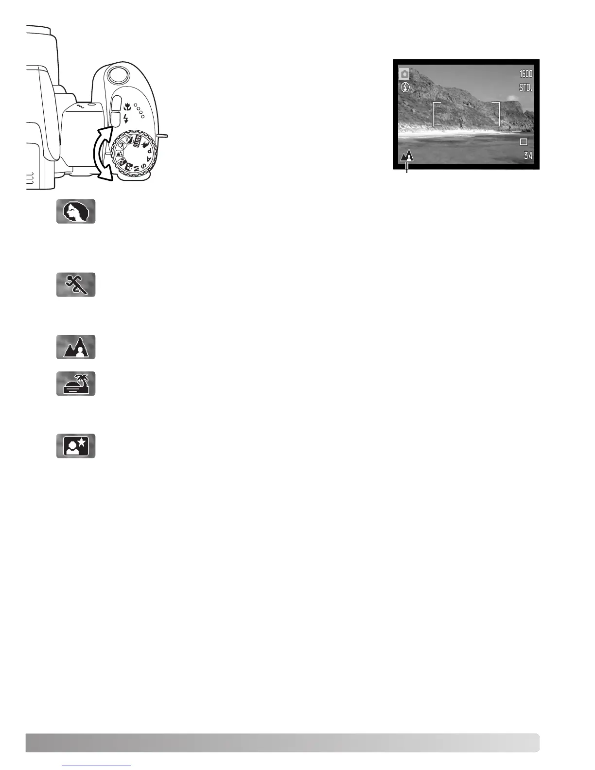 Page #29 background image