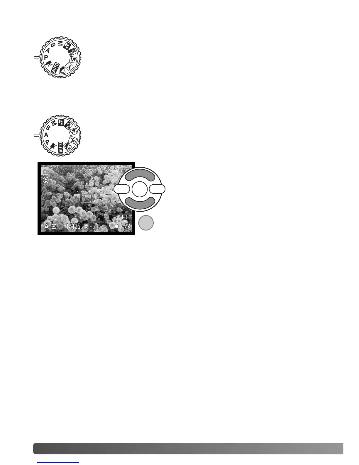Page #36 background image
