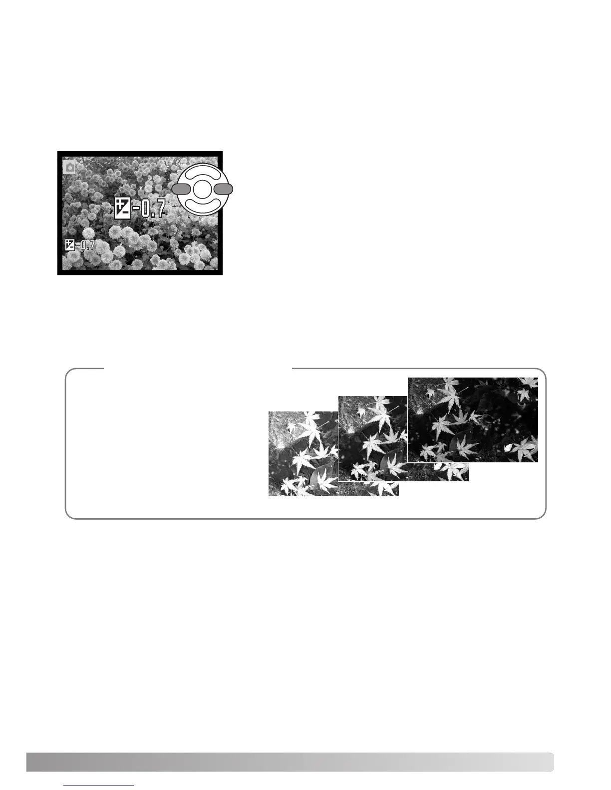 Page #41 background image