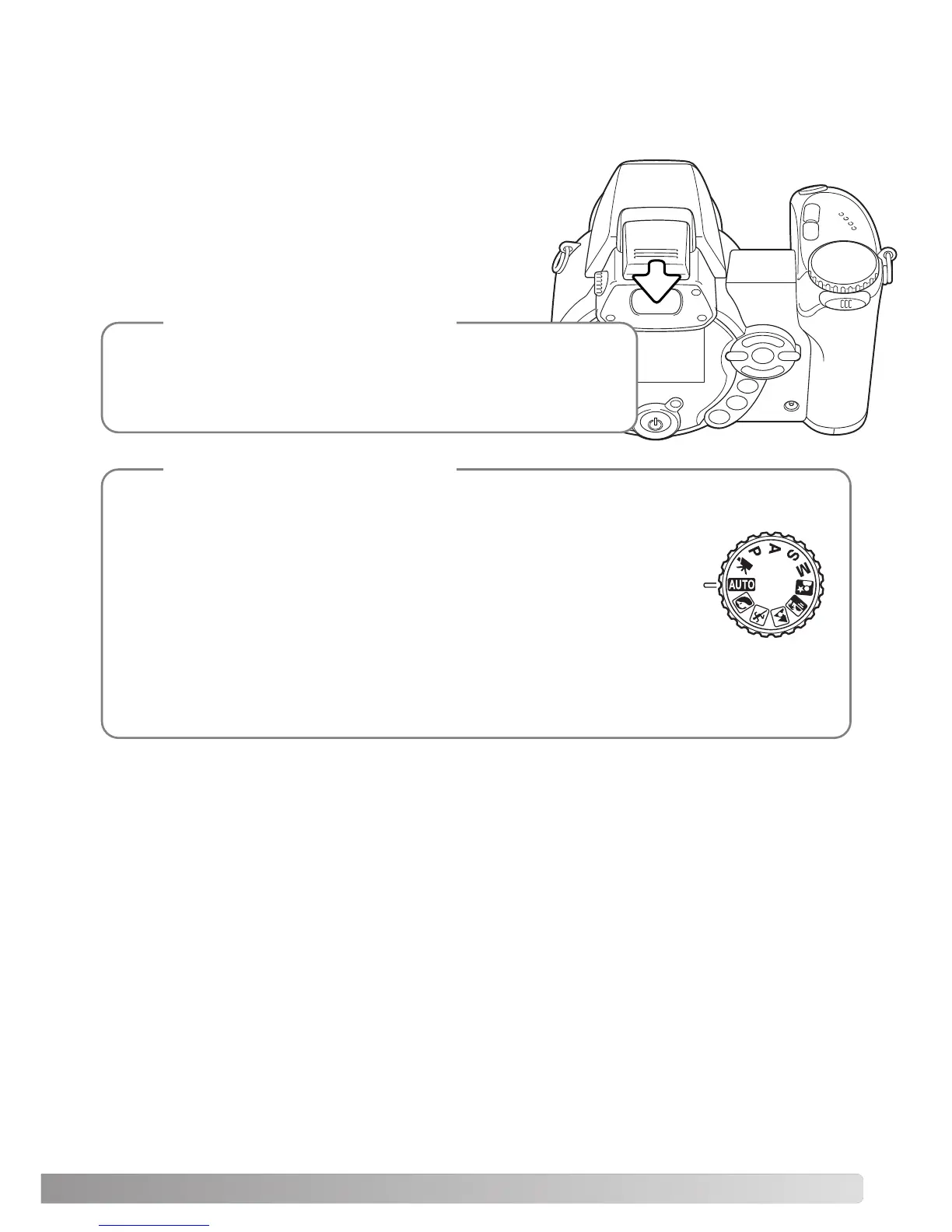 Page #43 background image