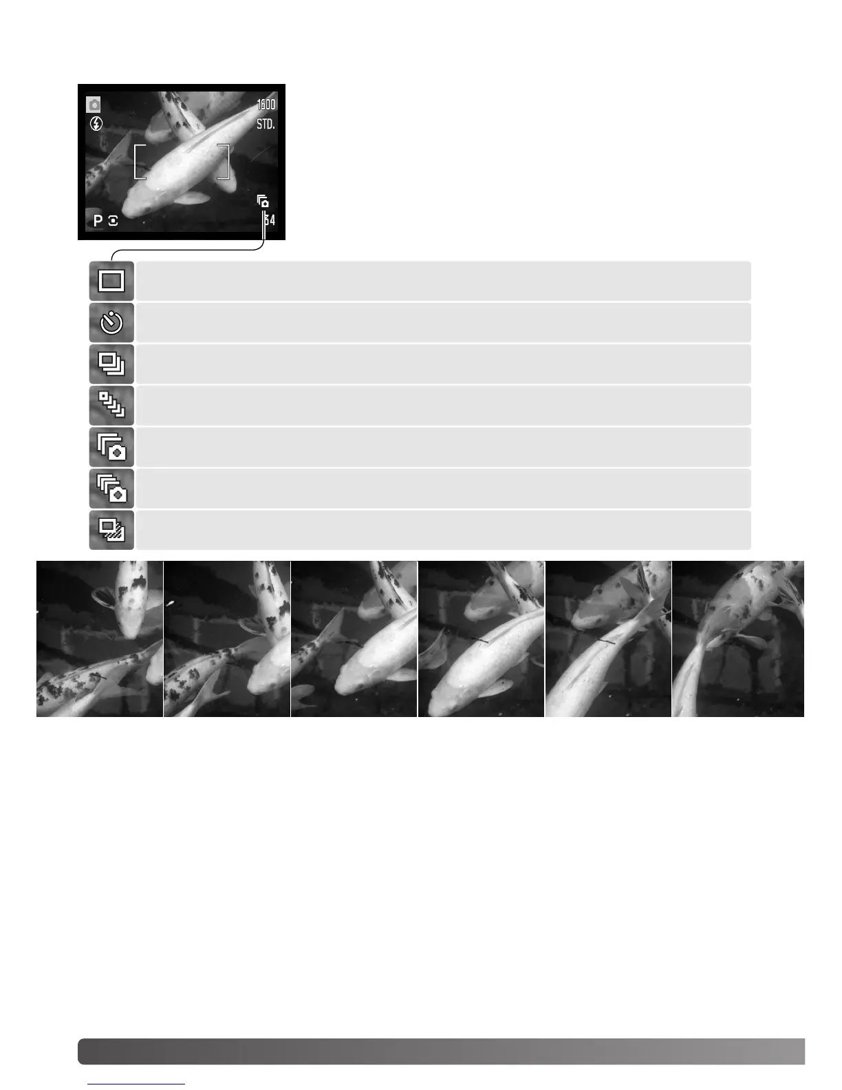 Page #46 background image
