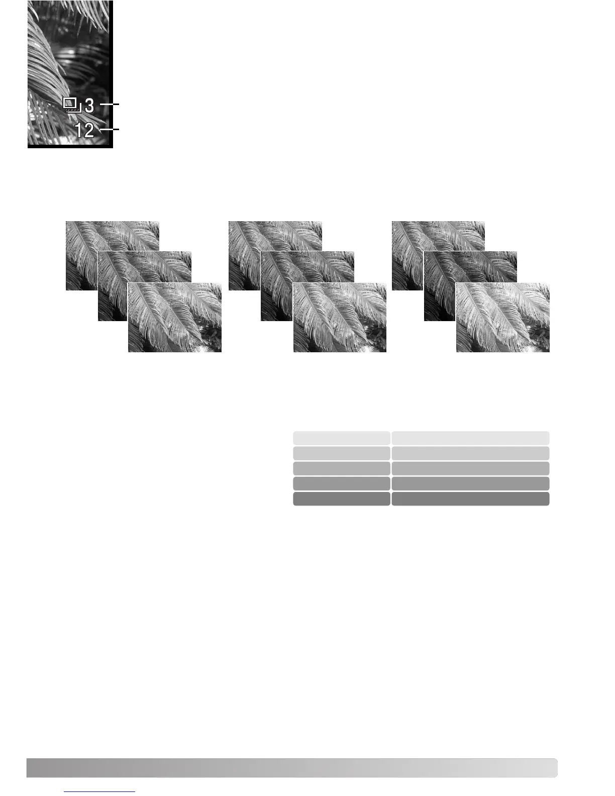 Page #53 background image