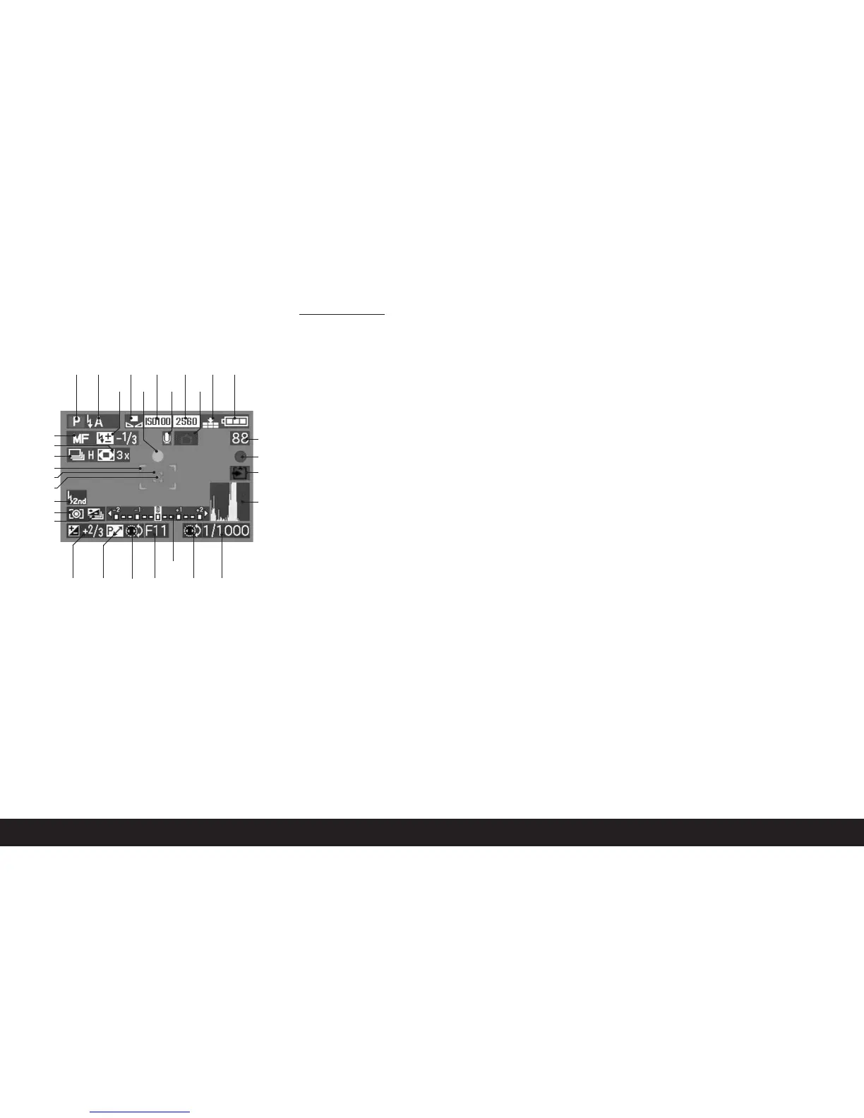 Page #10 background image