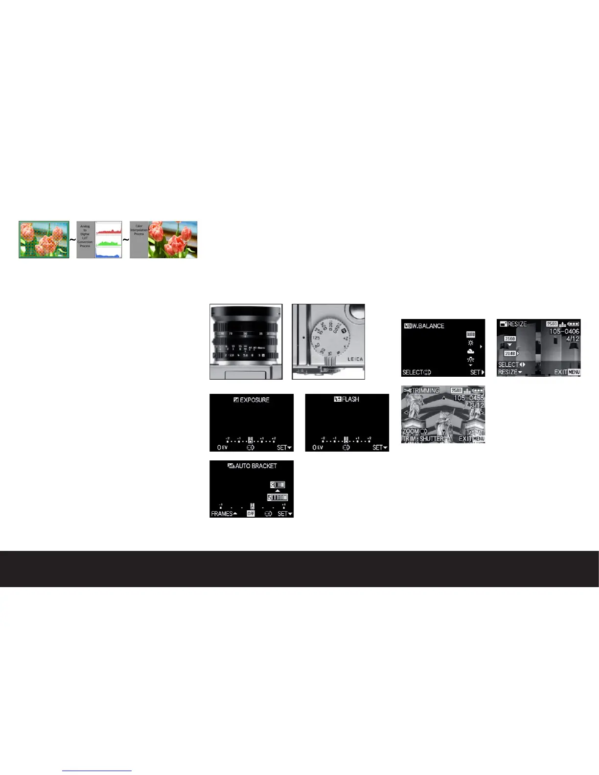 Page #7 background image