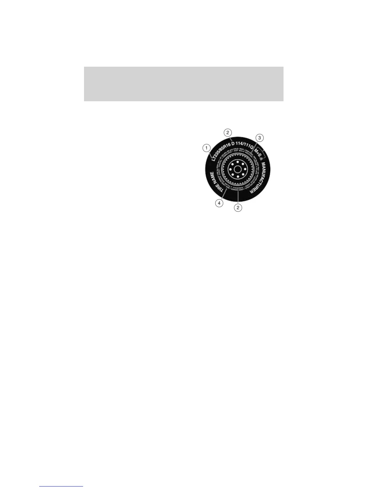 Page #191 background image