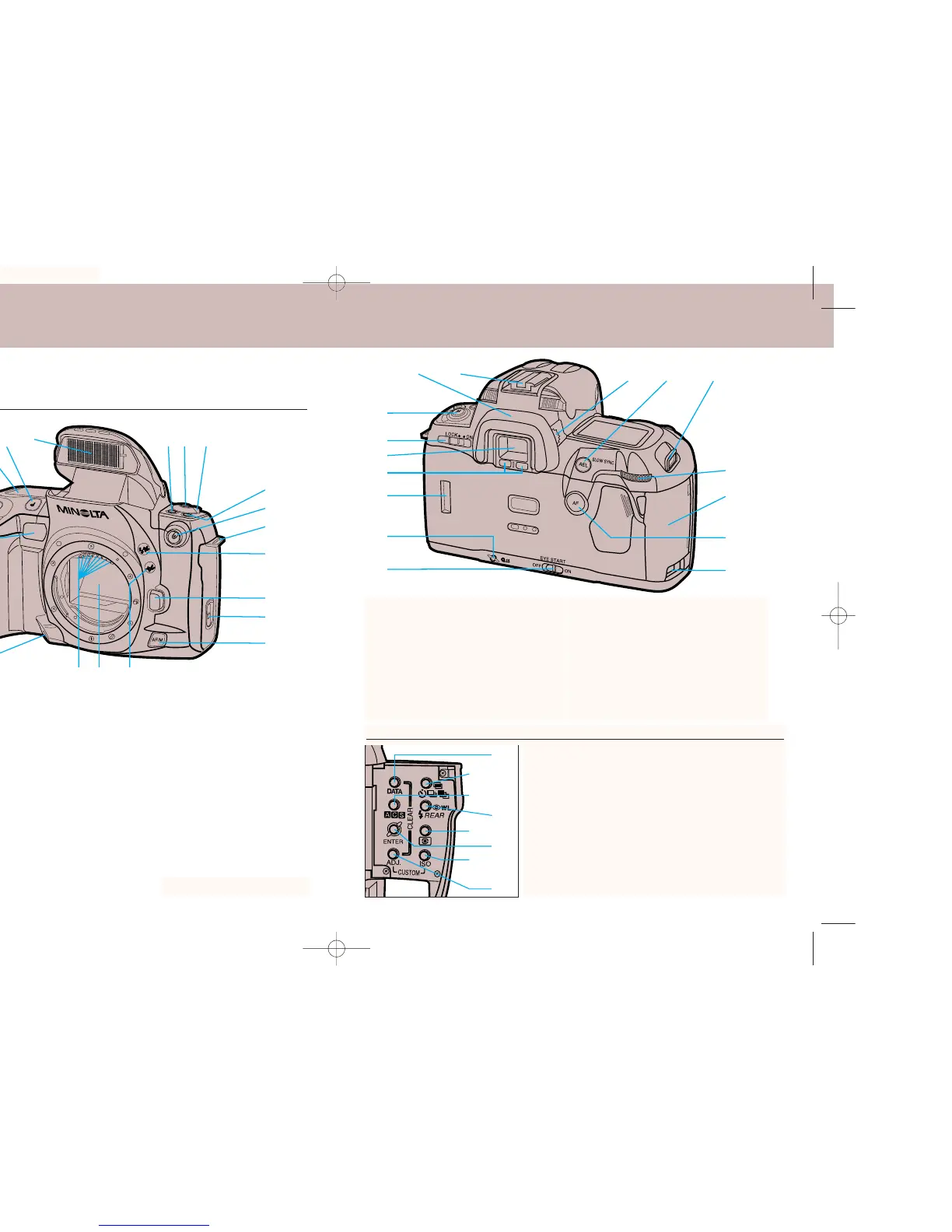 Page #4 background image