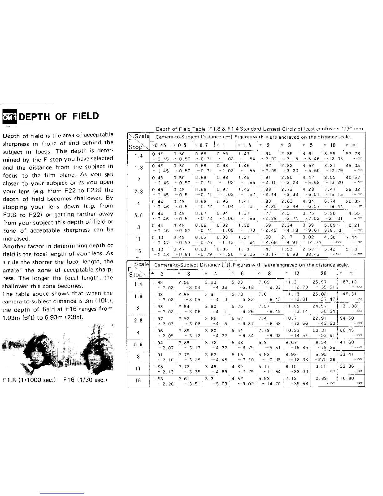 Page #19 background image
