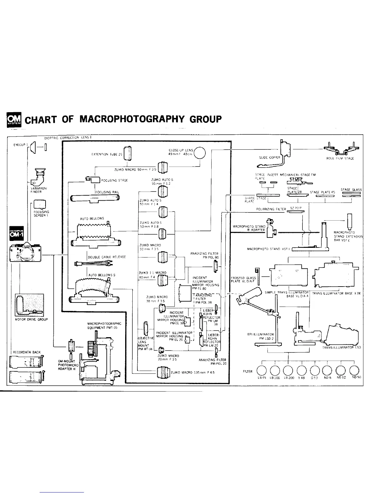 Page #37 background image