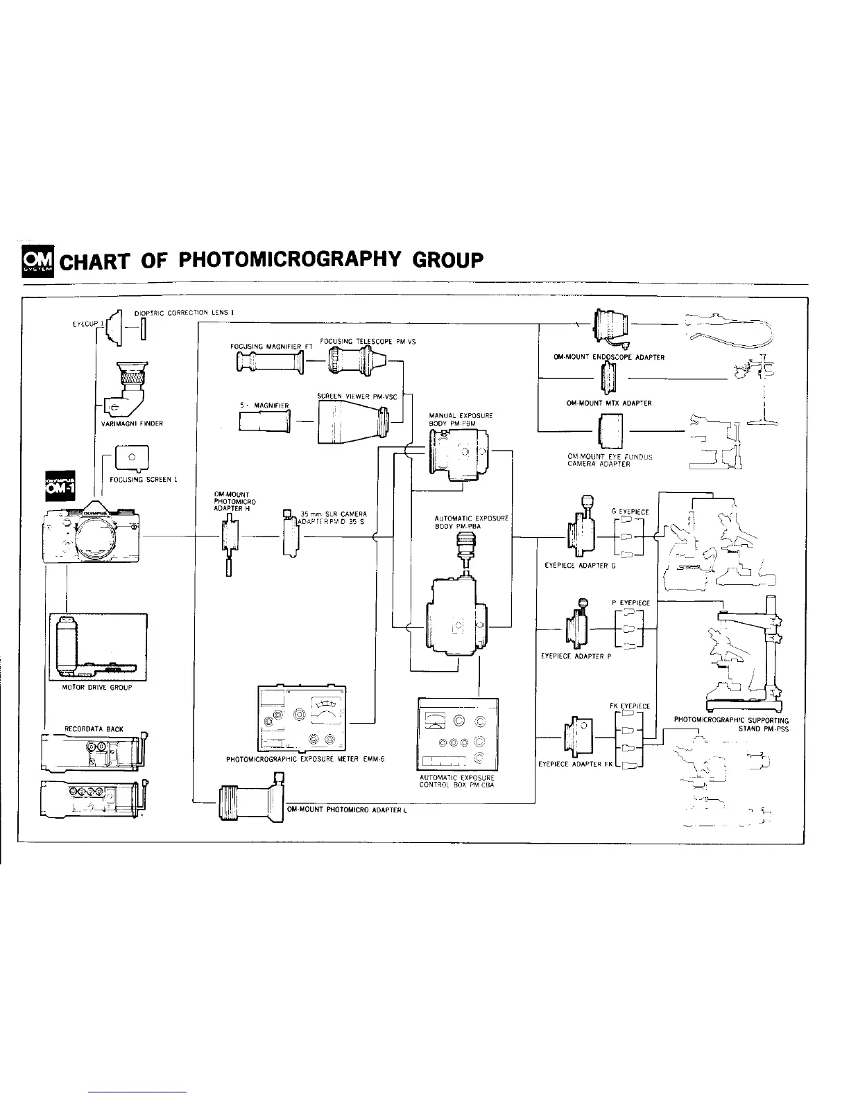 Page #43 background image