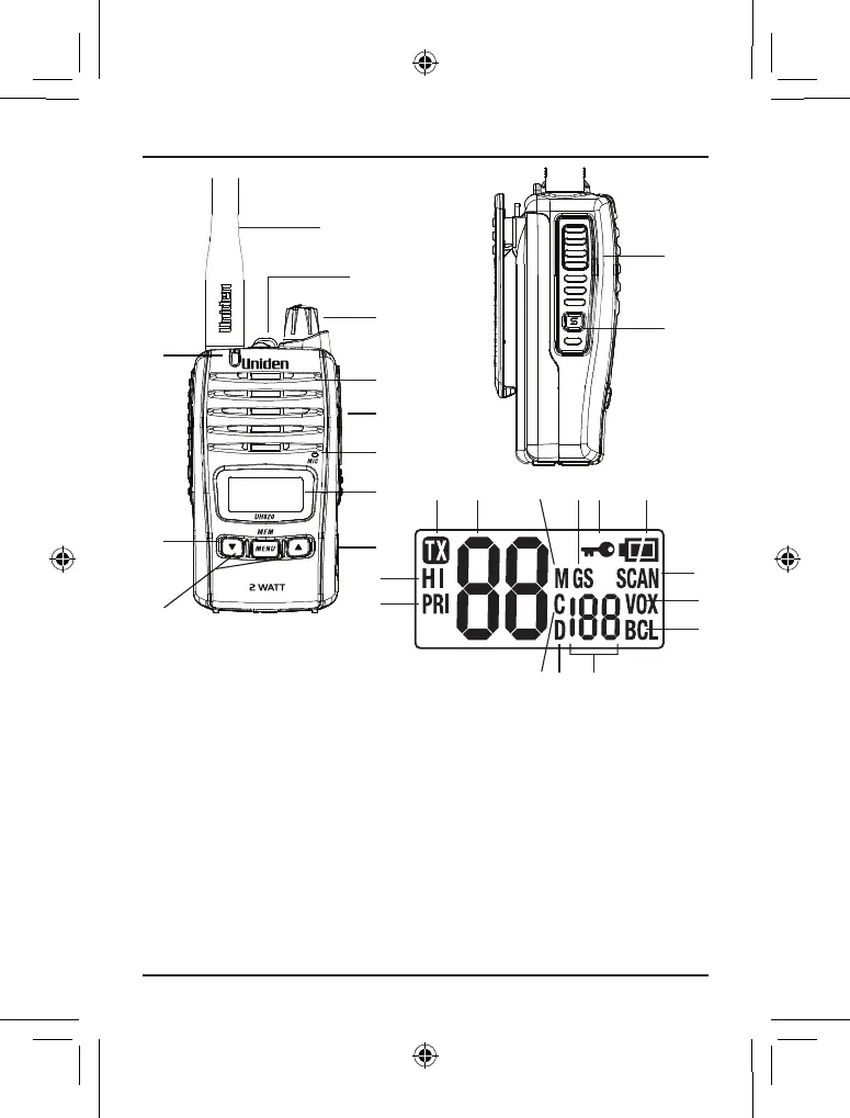 Page #6 background image