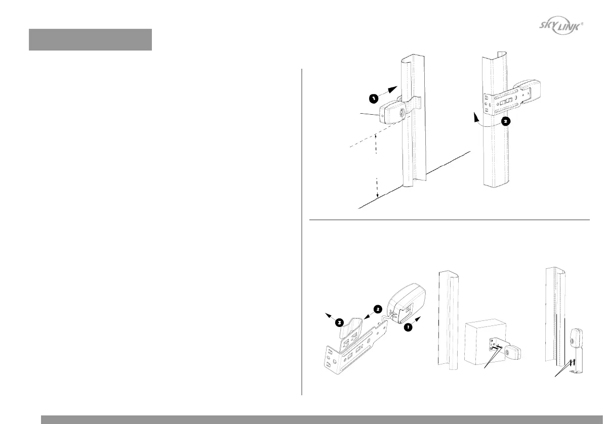Page #20 background image