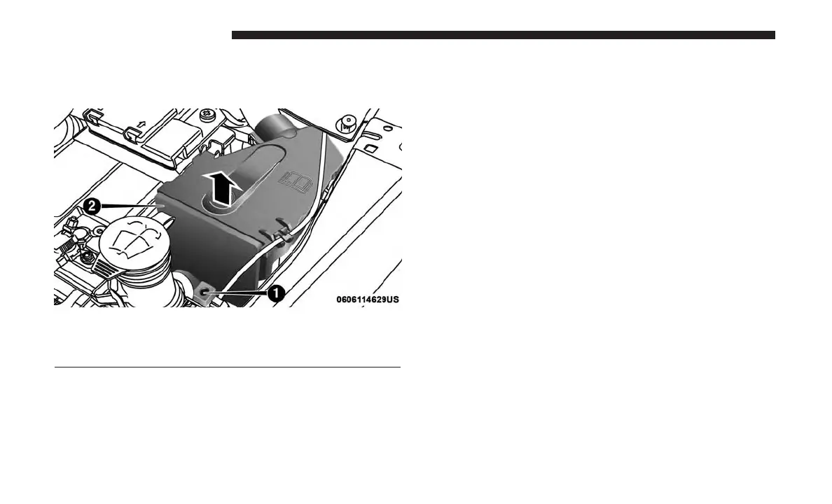 Page #319 background image