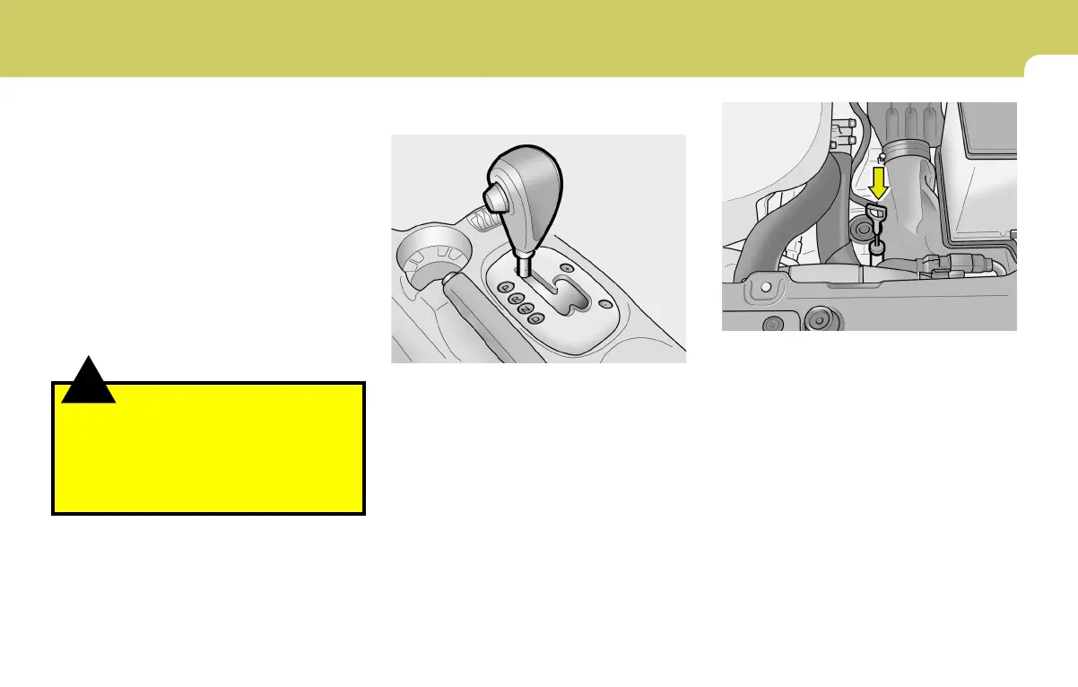 Page #209 background image