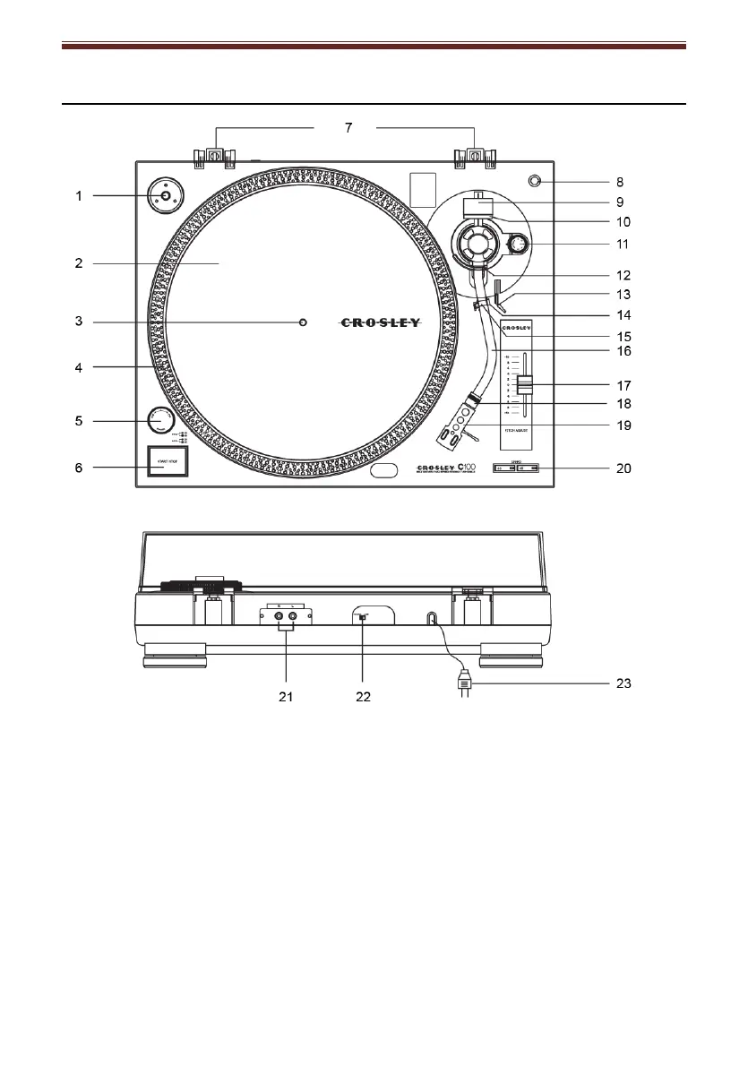 Page #5 background image