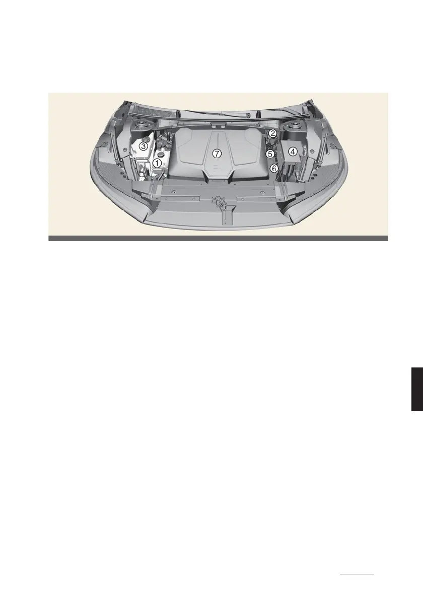Page #433 background image