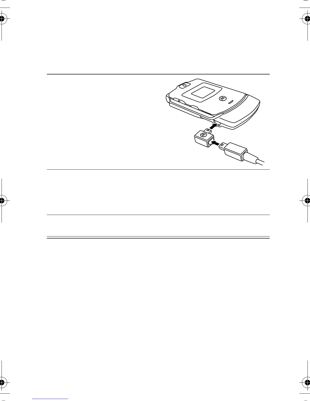 Page #19 background image