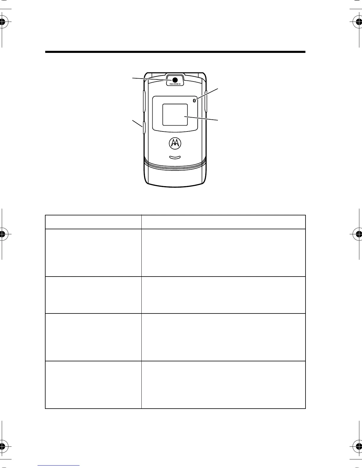 Page #2 background image