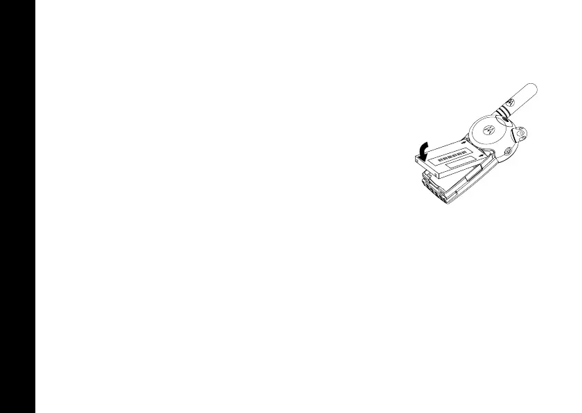 Page #24 background image