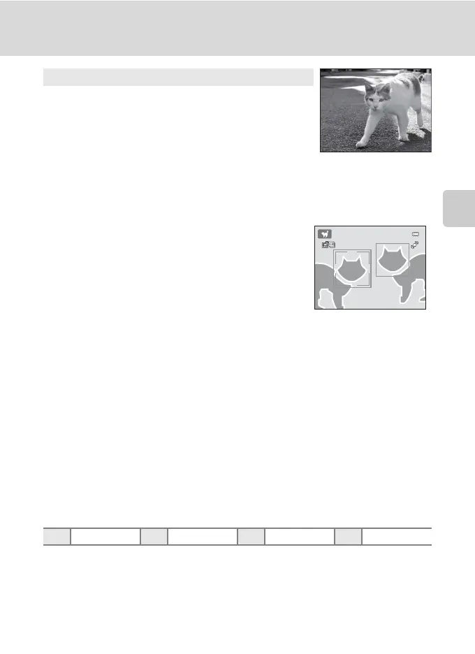 Page #75 background image