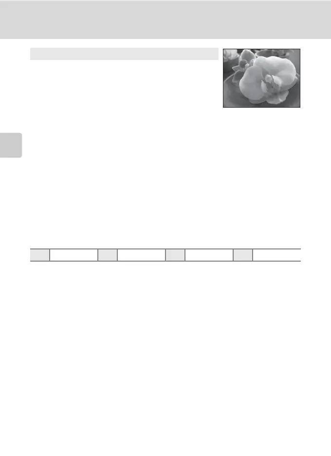 Page #64 background image