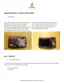 Preview: Replacement Guide