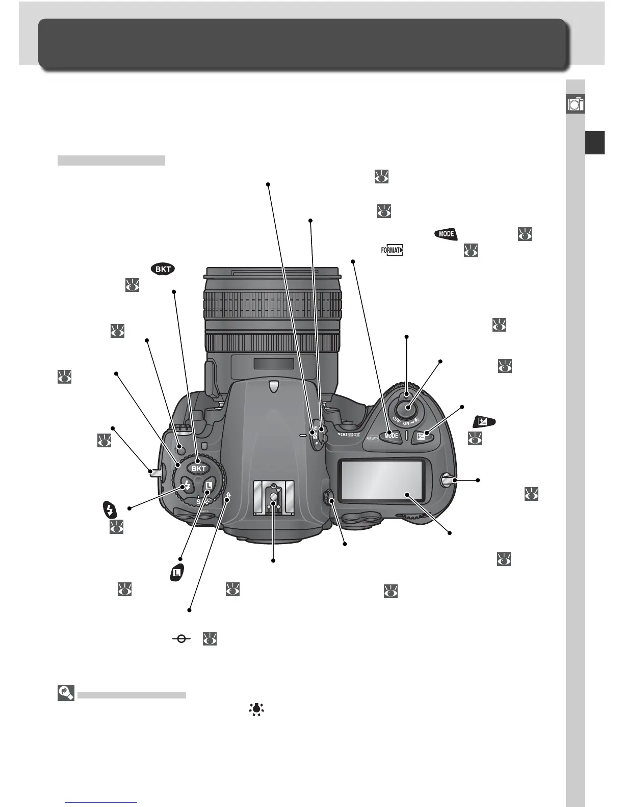 Page #17 background image
