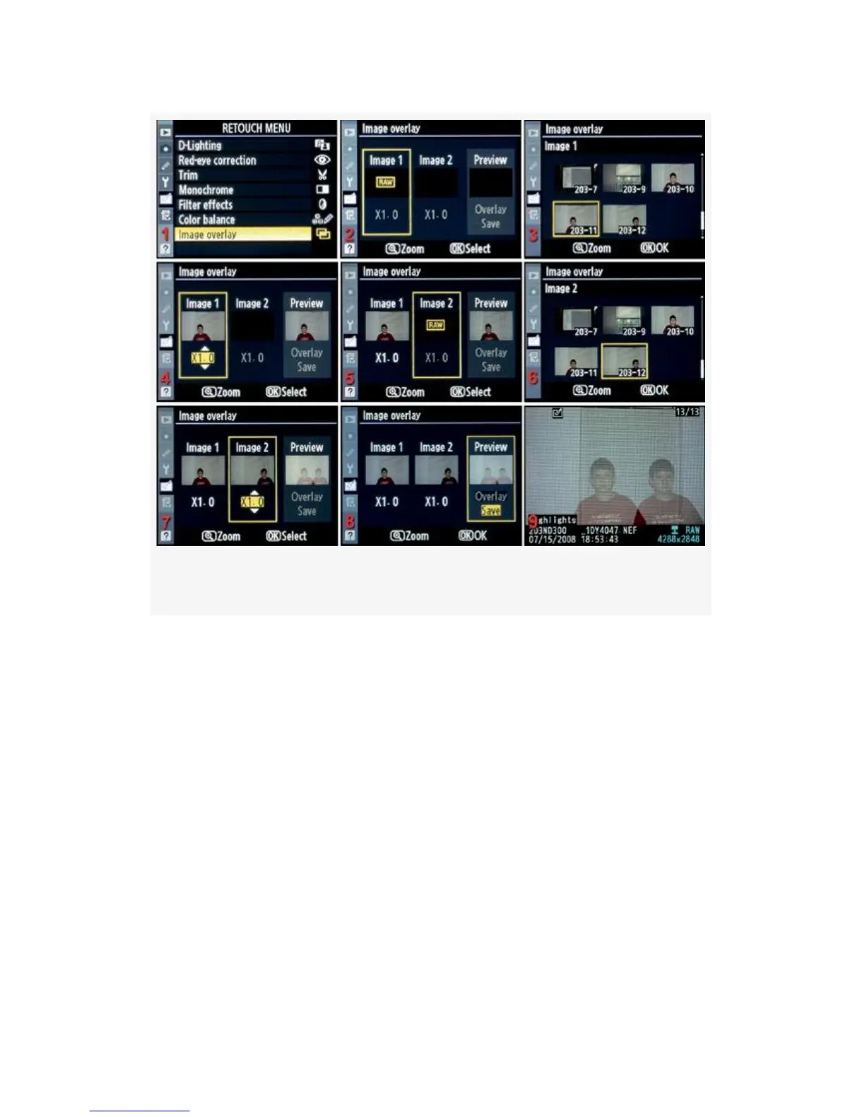 Page #545 background image
