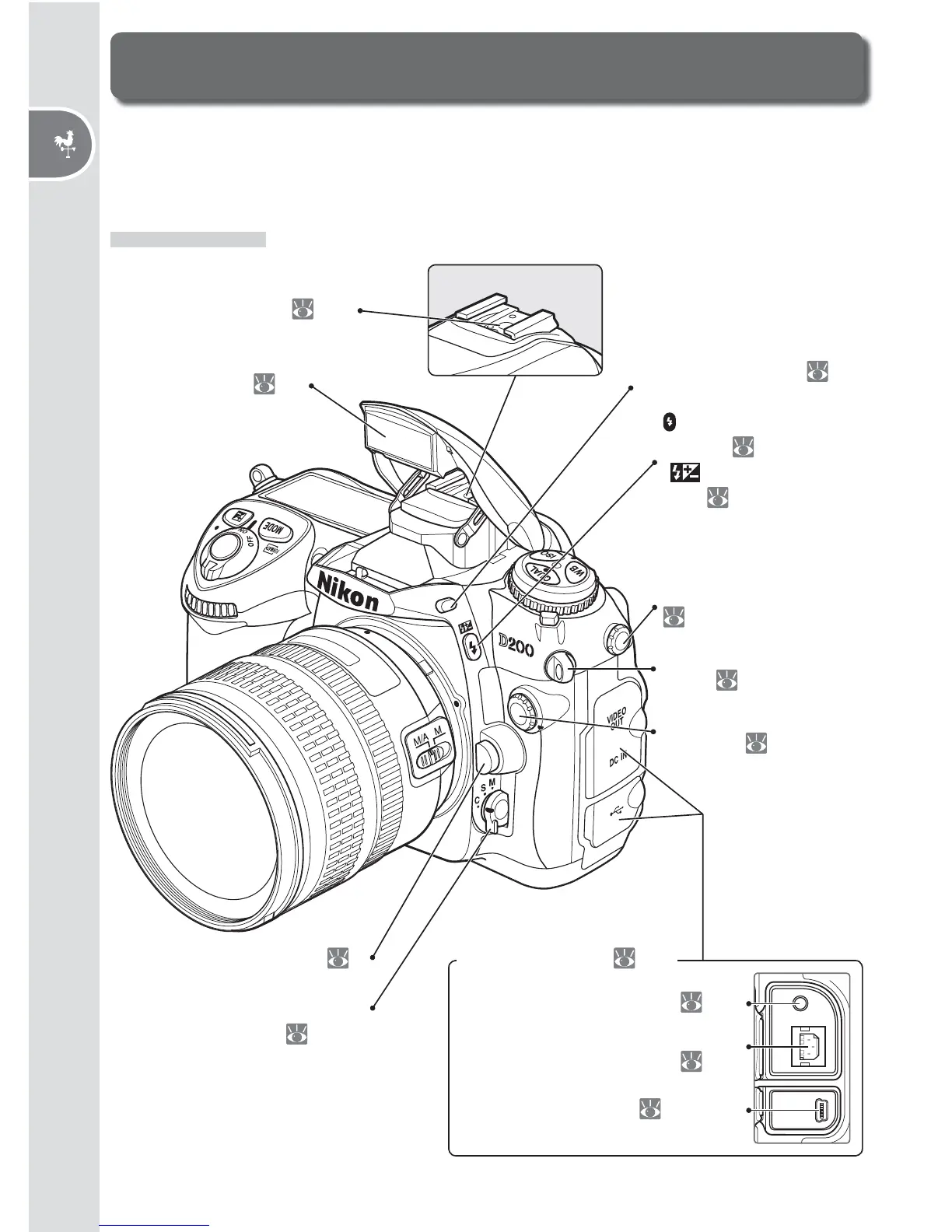 Page #12 background image