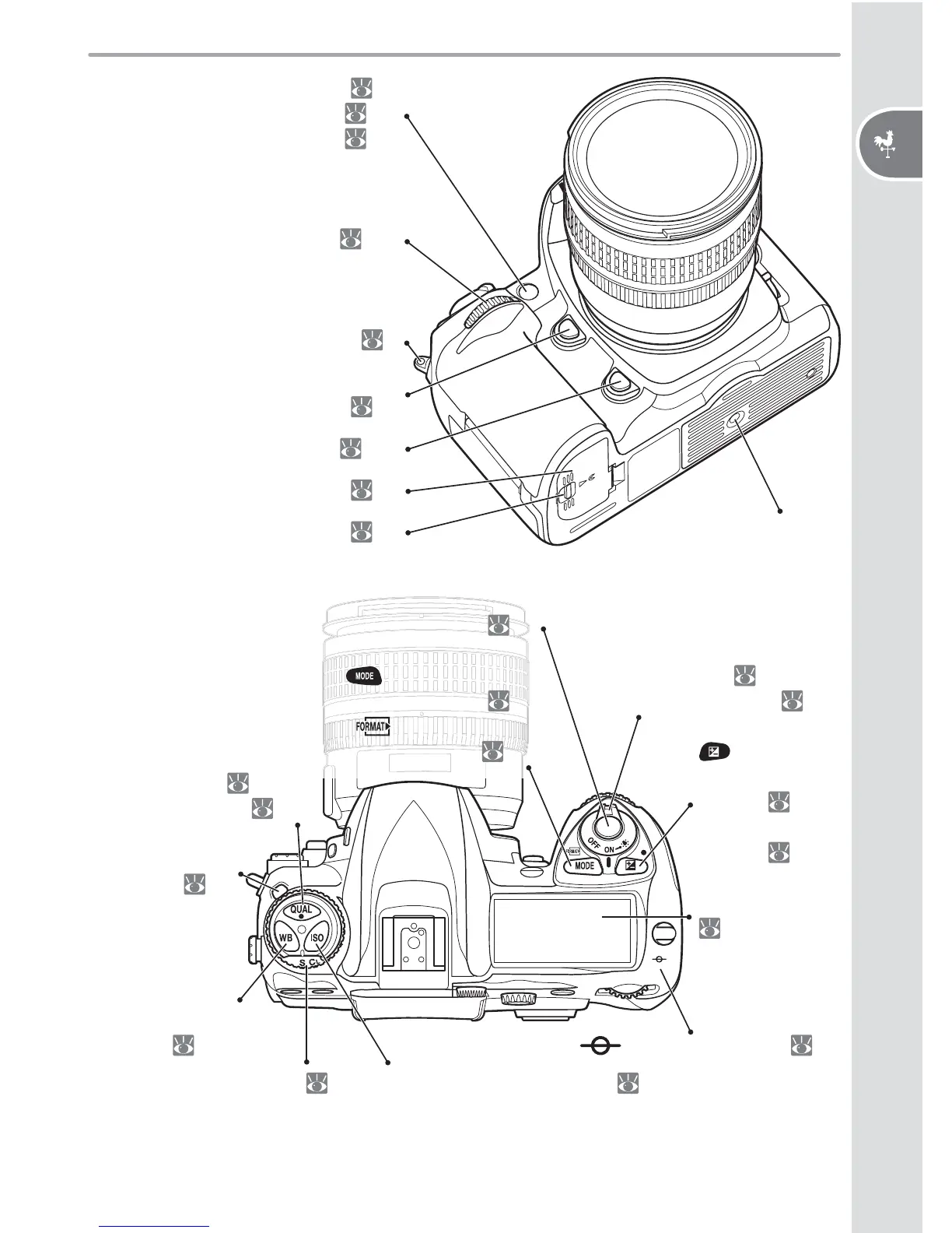 Page #13 background image