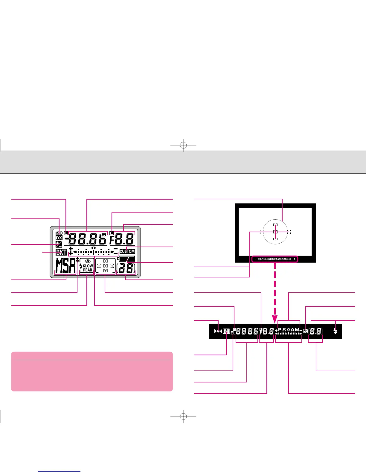 Page #3 background image