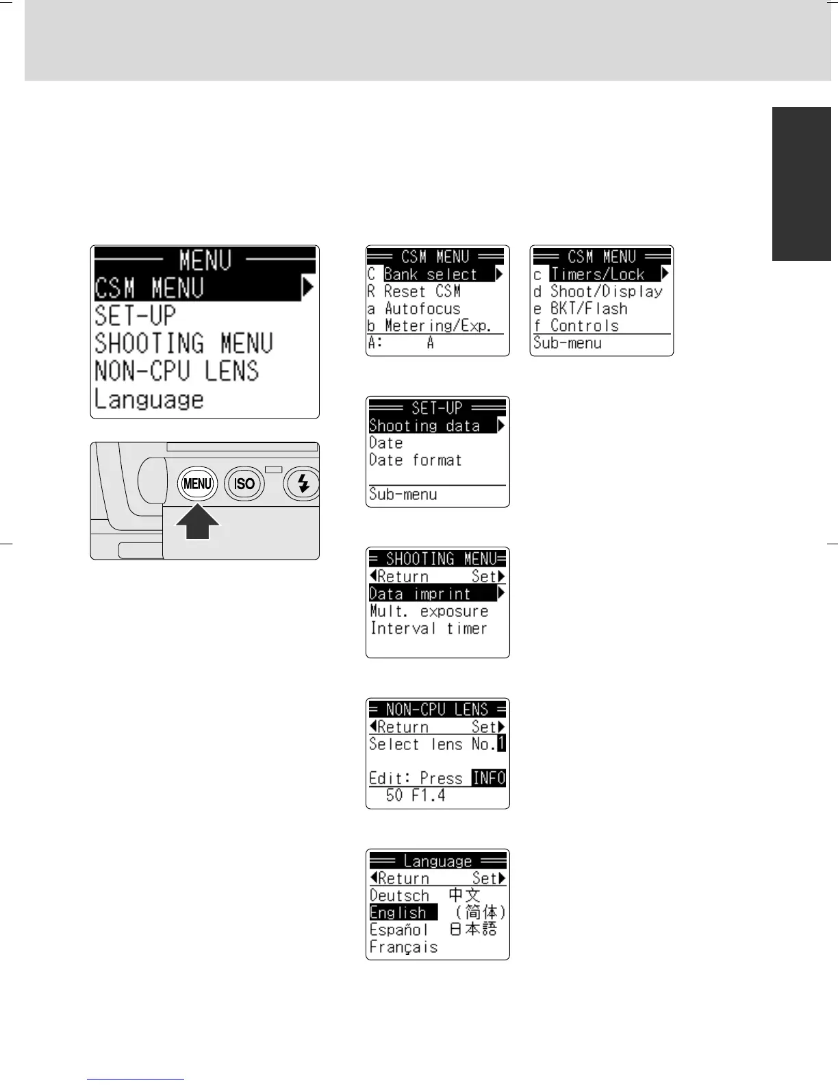 Page #11 background image