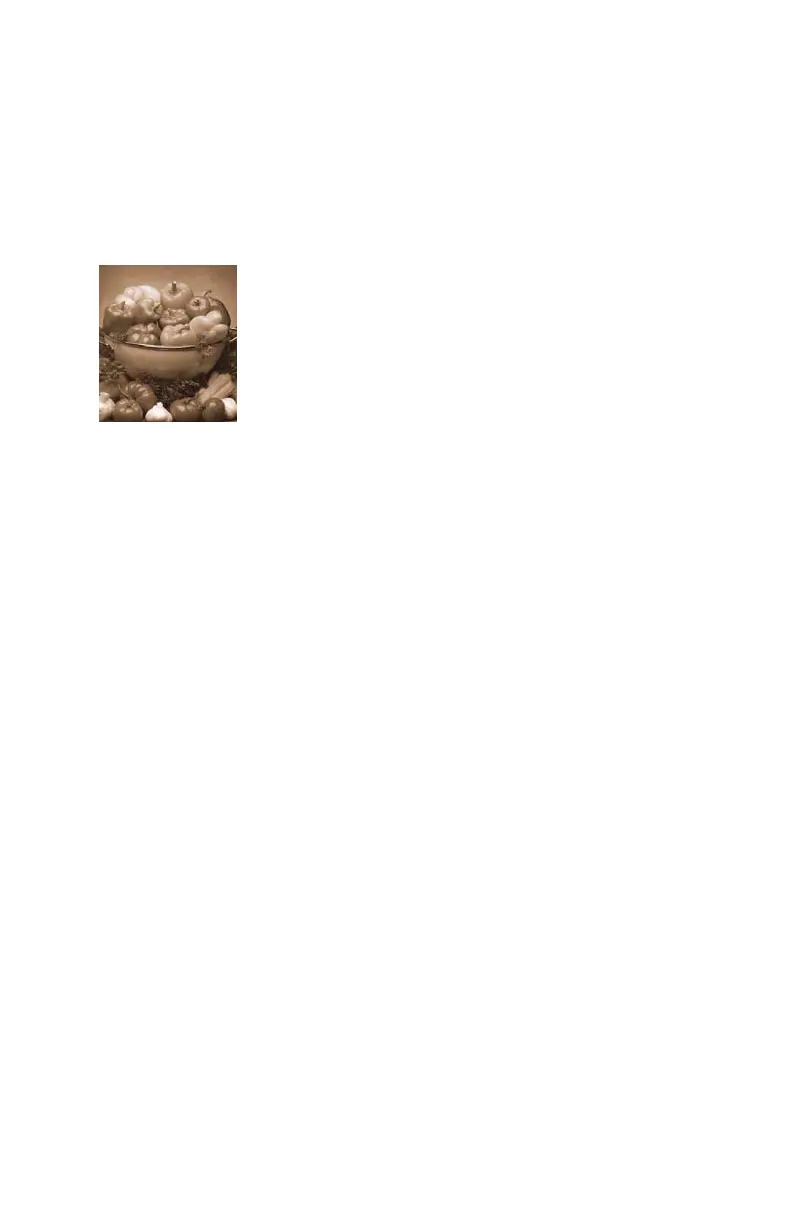 Page #258 background image