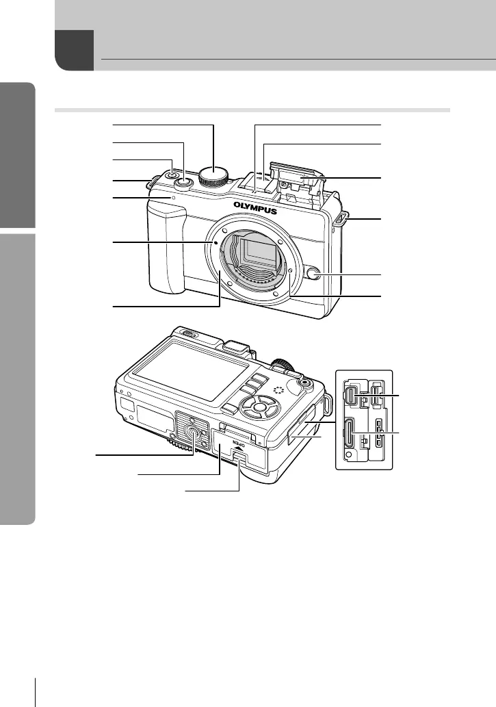 Page #8 background image