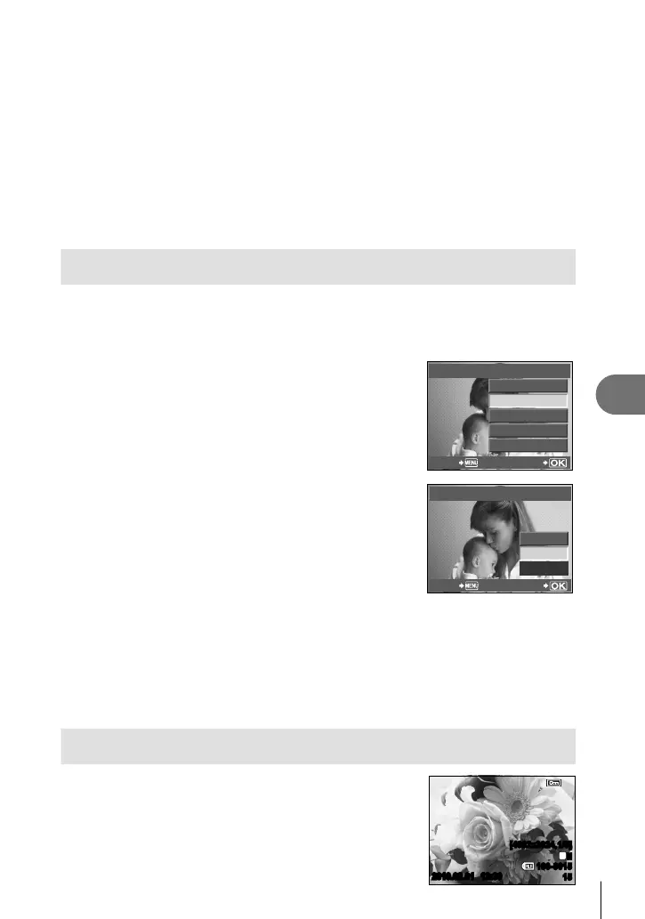 Page #65 background image