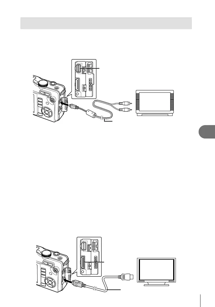 Page #67 background image