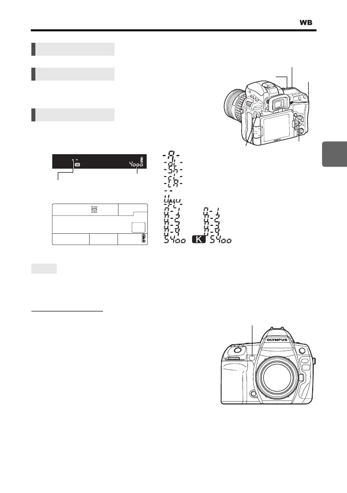 Page #67 background image
