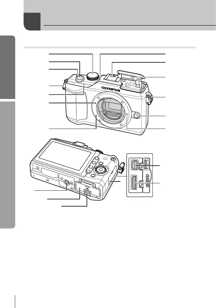 Page #8 background image